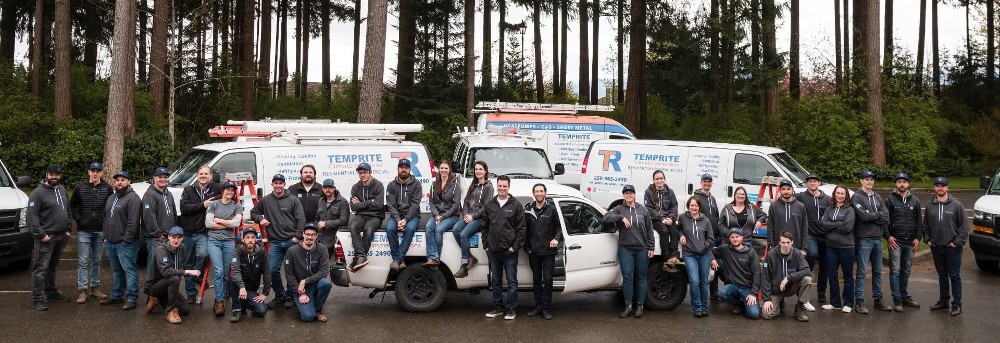 The Temprite Climate Solutions Team
